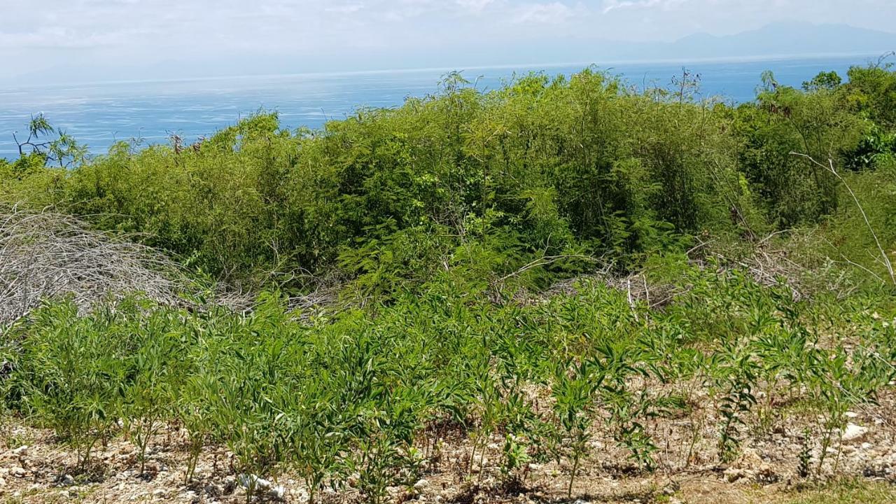 Willa Planete Bleue Habitation Mes Desirs Beaurenom Zewnętrze zdjęcie